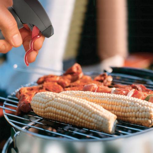 Evo Oil Sprayer - Image 3