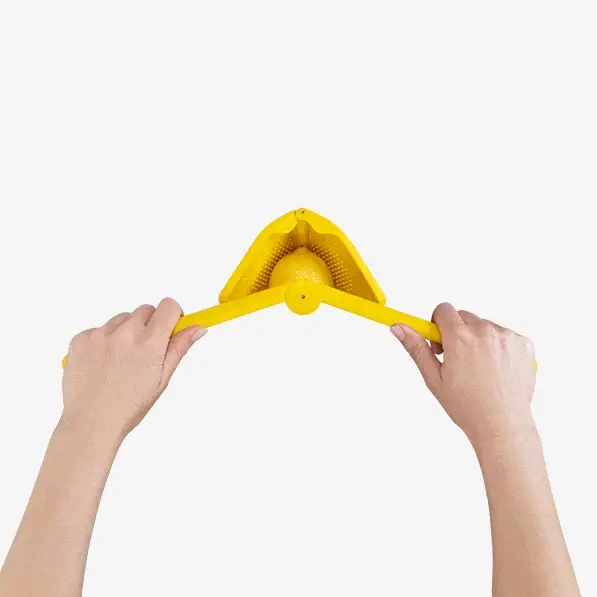 Fluicer - Lemon Press - Image 2