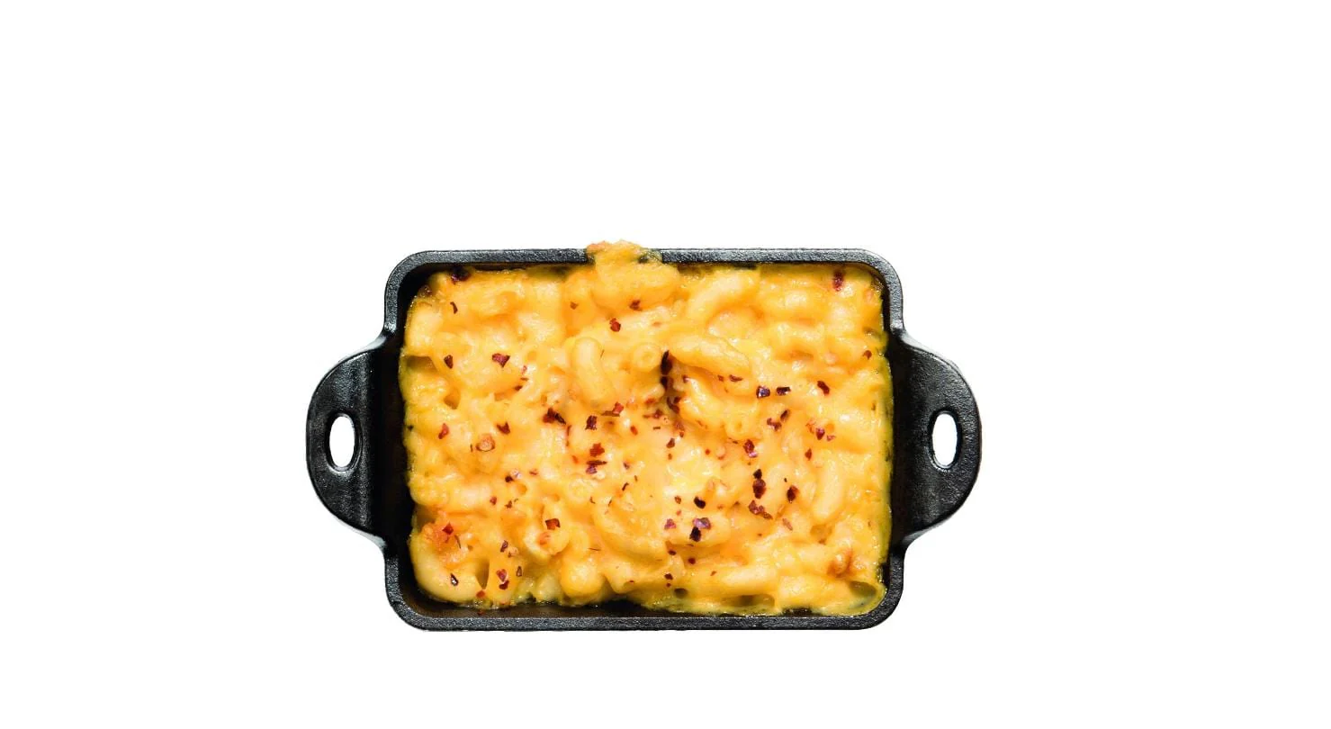 Lodge Pro Logic Cast Iron Mini Rectangular Au Gratin Pan - Image 3