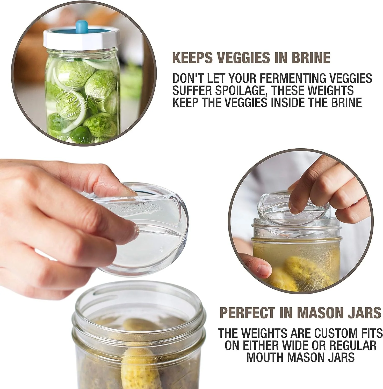 MasonTops Regular Mouth Pickle Pebbles (Pack of 4) - Image 3