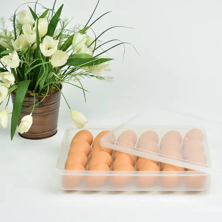 Omniware 24 Eggs Rectangle Plastic Food Storage Container with Lid