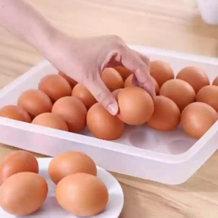 Omniware 24 Eggs Rectangle Plastic Food Storage Container with Lid - Image 2