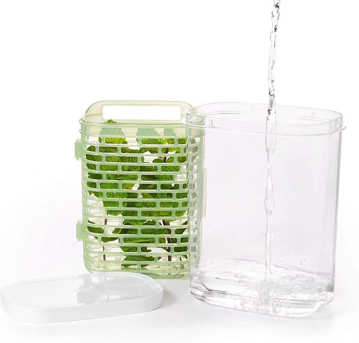 OXO GreenSaver Herb Keeper - Small - Image 4