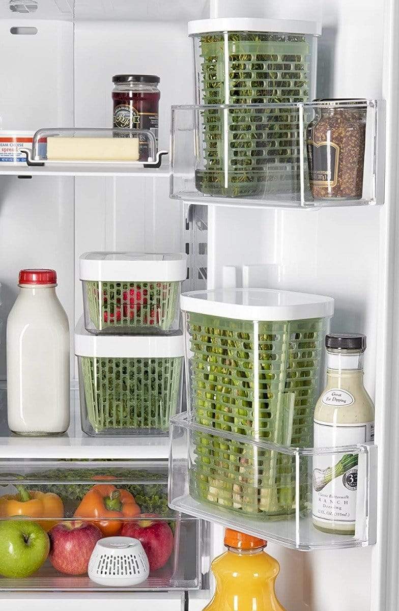 OXO GreenSaver Herb Keeper - Small - Image 5