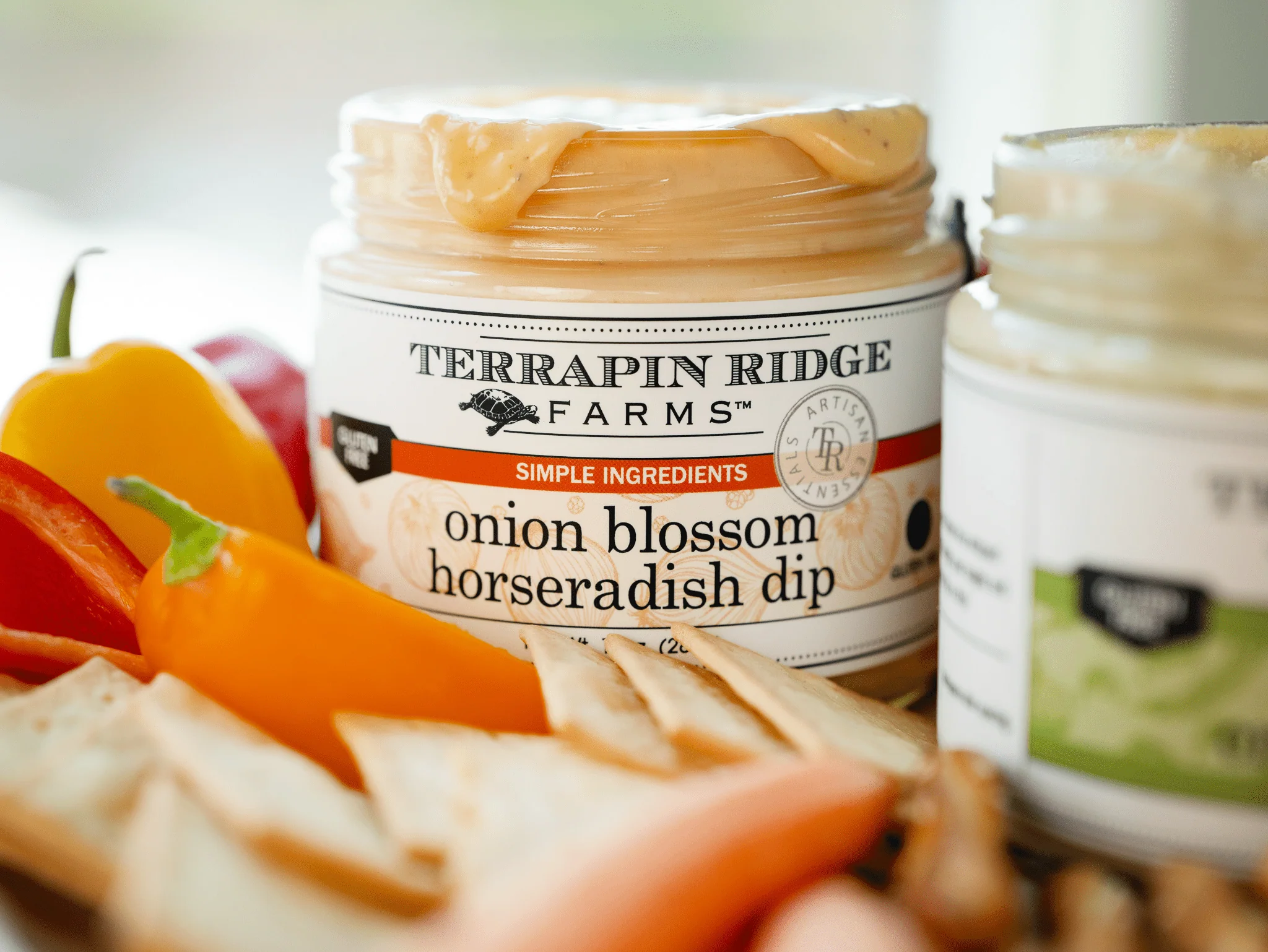 Terrapin Ridge Farms Onion Blossom Horseradish Dip 11 oz - Image 3