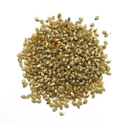 Wabash Valley Farms Amish Country Gourmet Popping Corn- Baby White 2 lb - Image 2
